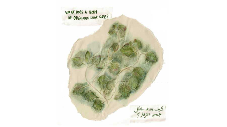 Samah Hijawi - Body of Oregano