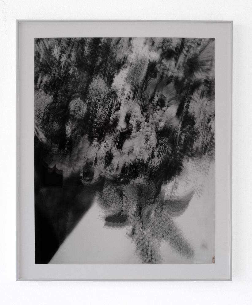 Foto: Thomas Vandenberghe. Courtesy Stieglitz 19