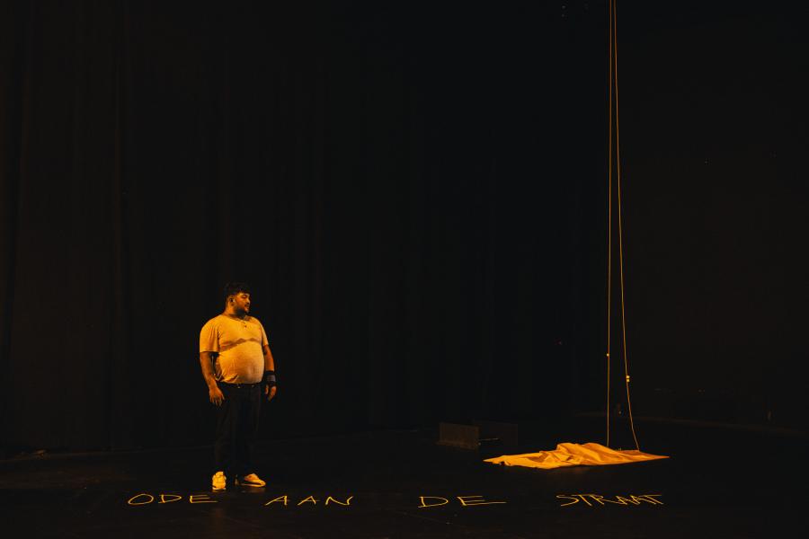 Michiel Devijver