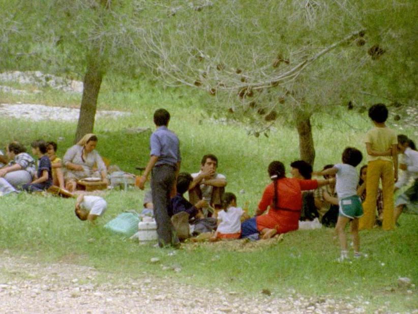 Palestine Cinema days